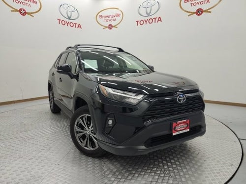 2025 Toyota RAV4 Hybrid XLE Premium