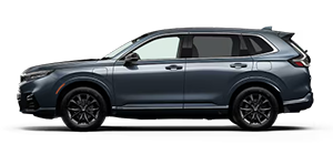 Brownsville Honda in Brownsville TX