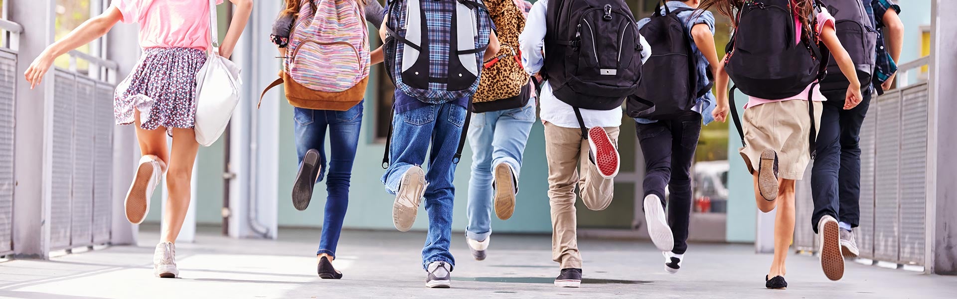 School District Employees Special